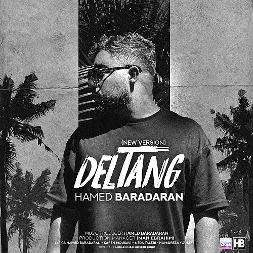 Cover artwork for Deltang (new Version) by Hamed Baradaran